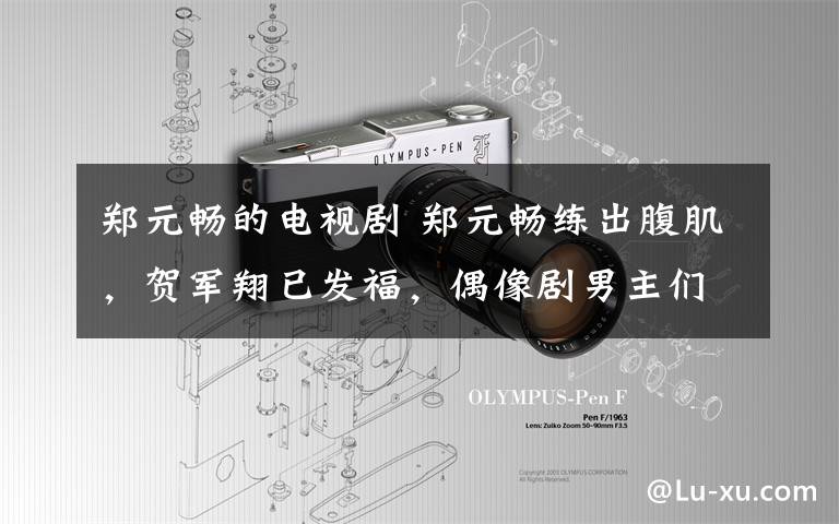 郑元畅的电视剧 郑元畅练出腹肌,贺军翔已发福,偶像剧男主们的人生大不同