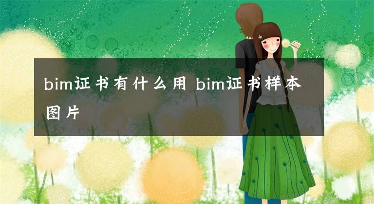 bim证书有什么用 bim证书样本图片