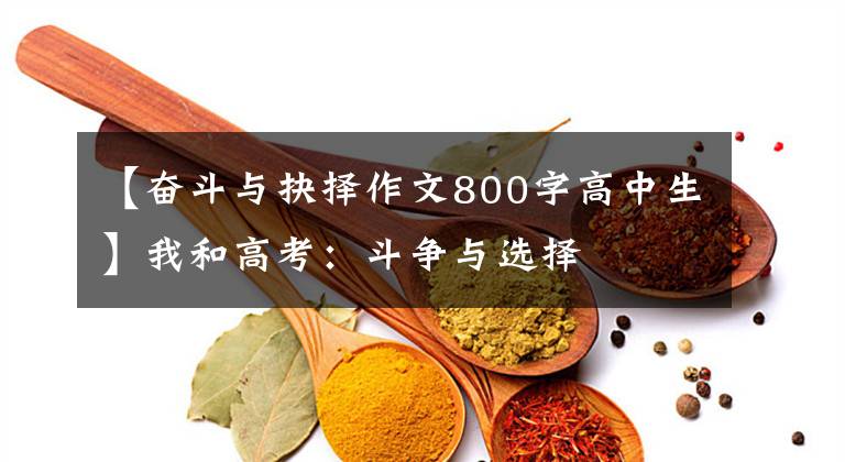 【奋斗与抉择作文800字高中生】我和高考:斗争与选择