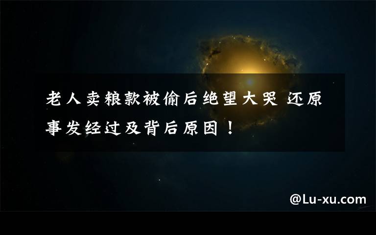老人卖粮款被偷后绝望大哭 还原事发经过及背后原因!
