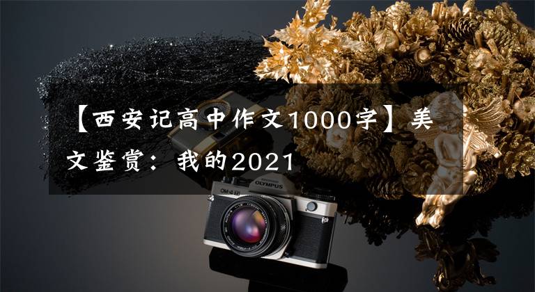 【西安记高中作文1000字】美文鉴赏:我的2021