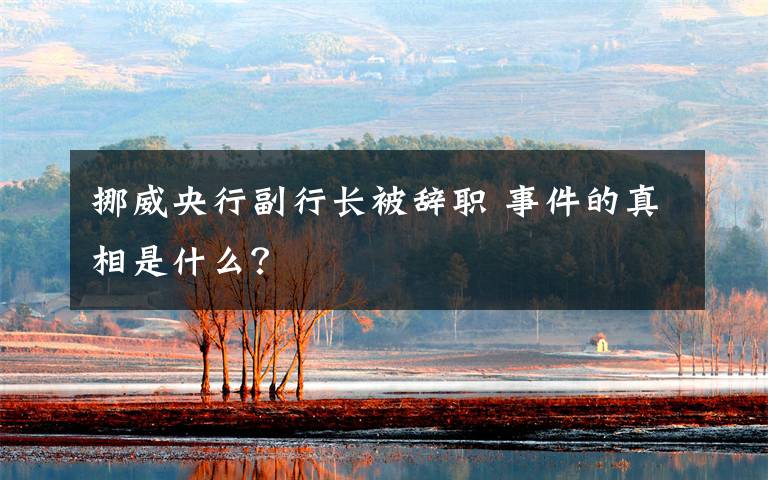 挪威央行副行长被辞职 事件的真相是什么?