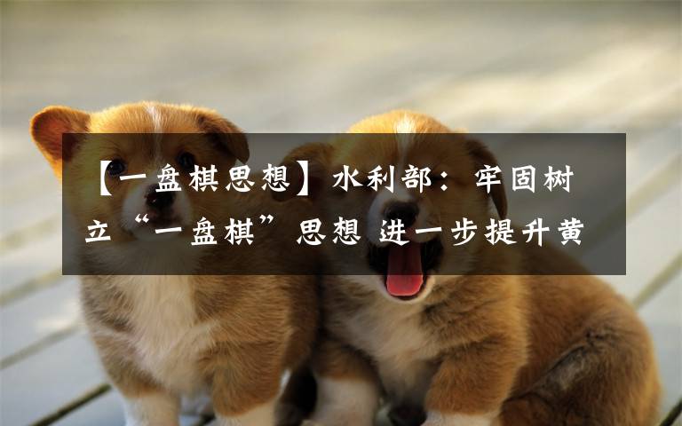 【一盘棋思想】水利部：牢固树立“一盘棋”思想 进一步提升黄河流域治理管理能力