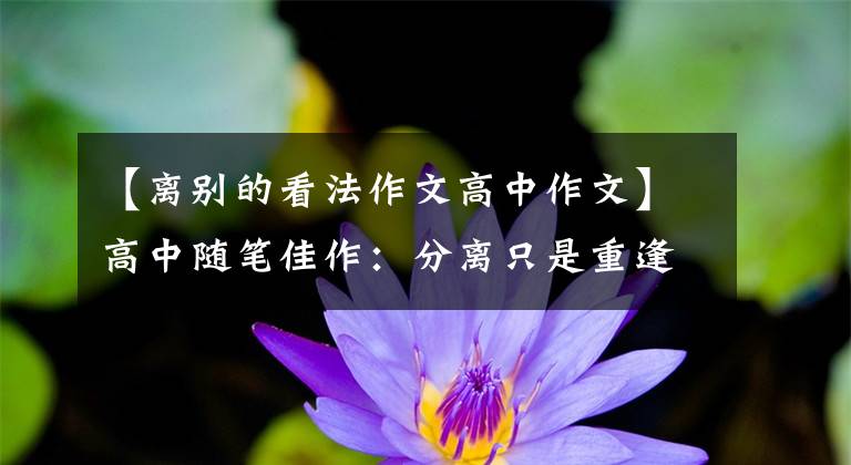 【离别的看法作文高中作文】高中随笔佳作:分离只是重逢开始时给——文老师的信