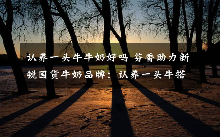 认养一头牛牛奶好吗 芬香助力新锐国货牛奶品牌:认养一头牛搭上社交电商东风