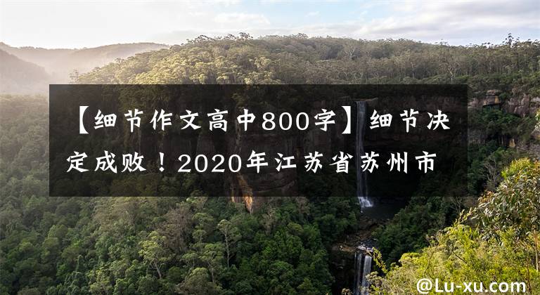 【细节作文高中800字】细节决定成败!2020年江苏省苏州市高考作文《那些灿烂的细节》