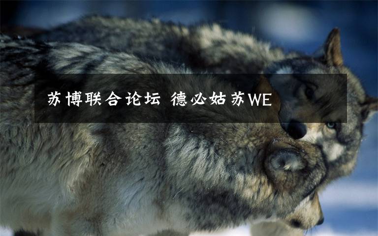 苏博联合论坛 德必姑苏WE