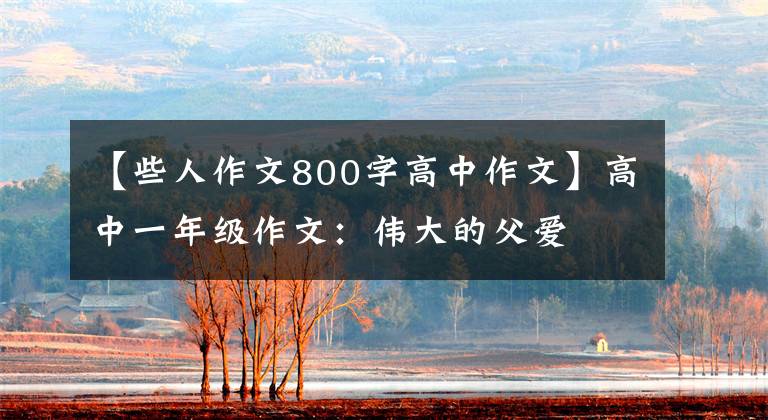 【些人作文800字高中作文】高中一年级作文:伟大的父爱