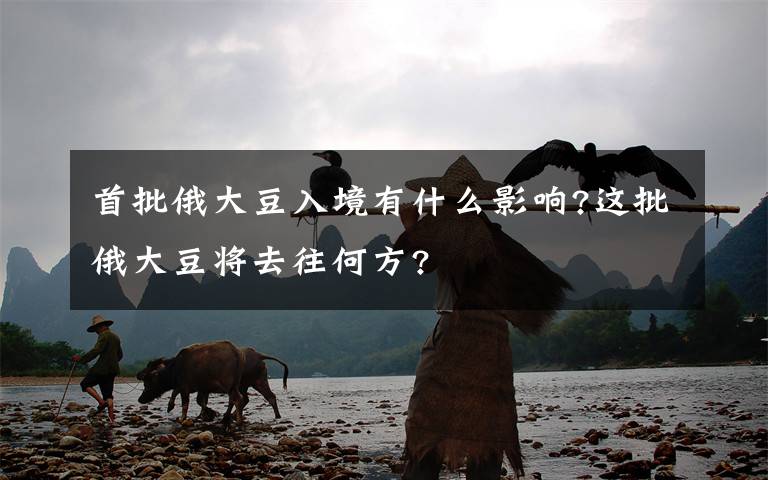 首批俄大豆入境有什么影响?这批俄大豆将去往何方?