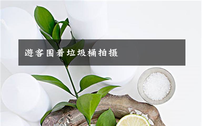 游客围着垃圾桶拍摄