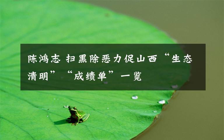 陈鸿志 扫黑除恶力促山西“生态清明”“成绩单”一览