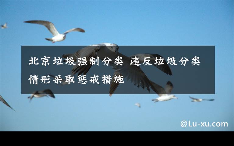 北京垃圾强制分类 违反垃圾分类情形采取惩戒措施