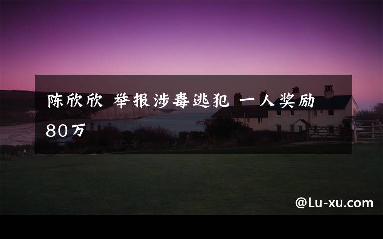 陈欣欣 举报涉毒逃犯 一人奖励80万