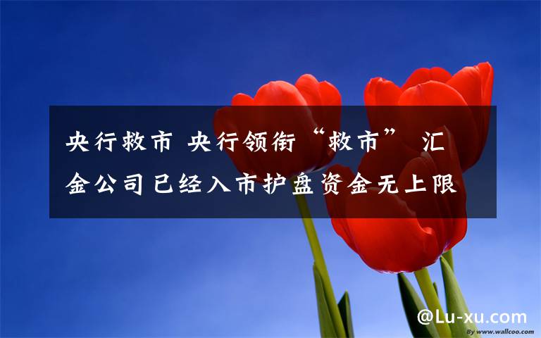 央行救市 央行领衔“救市” 汇金公司已经入市护盘资金无上限