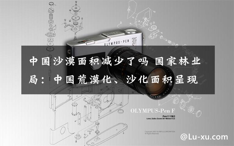 中国沙漠面积减少了吗 国家林业局:中国荒漠化、沙化面积呈现“双减少”