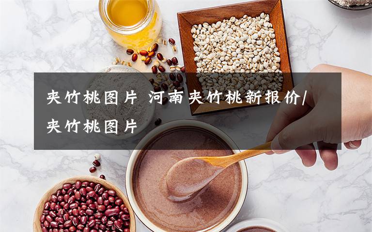 夹竹桃图片 河南夹竹桃新报价/夹竹桃图片