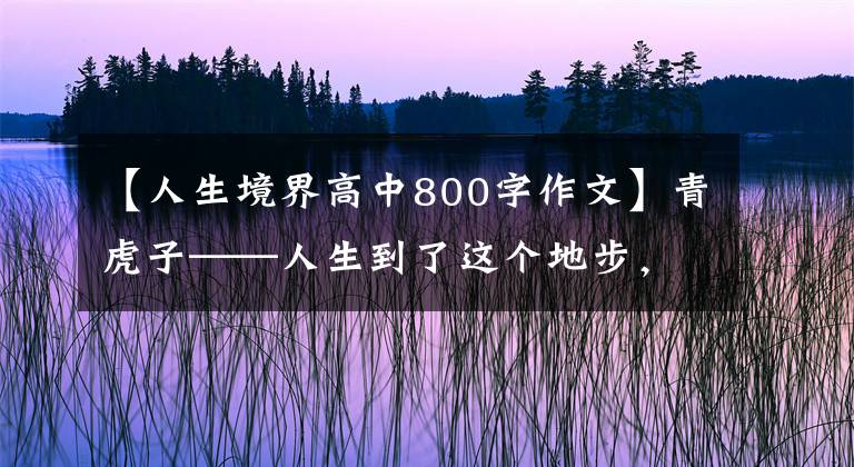 【人生境界高中800字作文】青虎子——人生到了这个地步,应该好好领悟一下