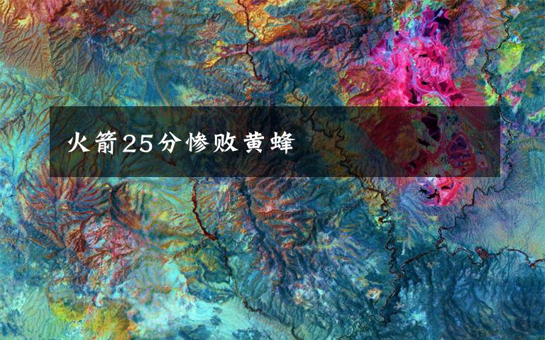 火箭25分惨败黄蜂