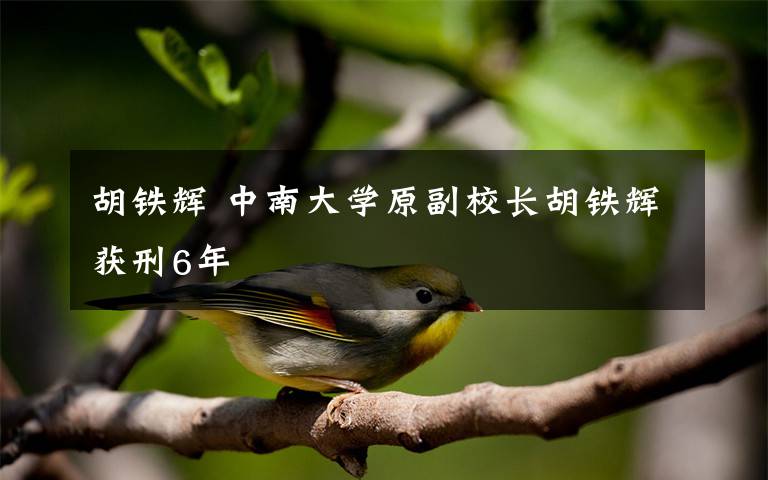 胡铁辉 中南大学原副校长胡铁辉获刑6年