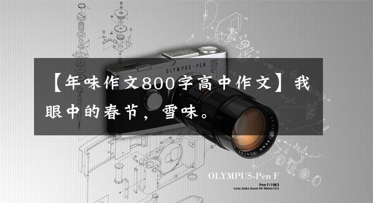 【年味作文800字高中作文】我眼中的春节，雪味。