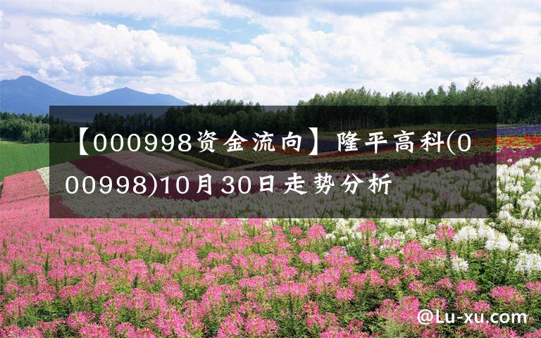 【000998资金流向】隆平高科(000998)10月30日走势分析