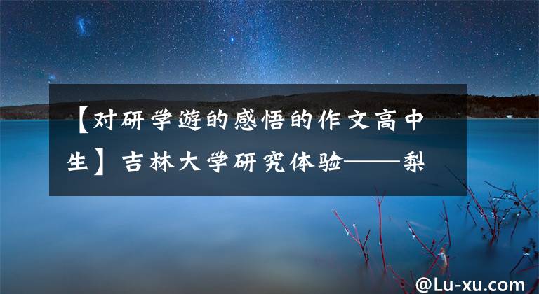 【对研学游的感悟的作文高中生】吉林大学研究体验——梨树县实验小学5年半后