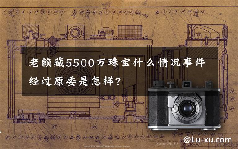 老赖藏5500万珠宝什么情况事件经过原委是怎样?