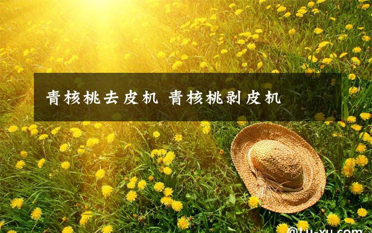 青核桃去皮机 青核桃剥皮机