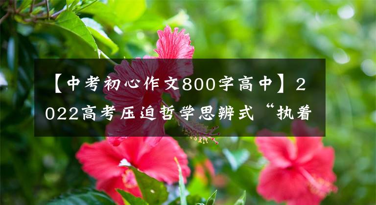 【中考初心作文800字高中】2022高考压迫哲学思辨式“执着与放下”范文“执着从左到右放下”