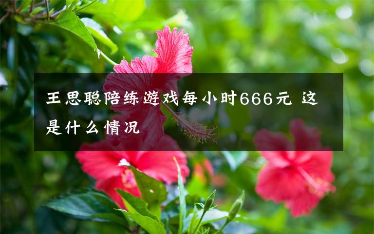 王思聪陪练游戏每小时666元 这是什么情况