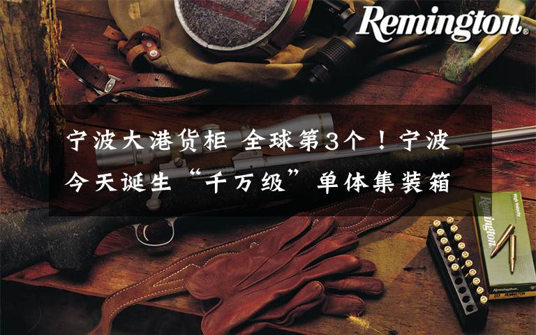 宁波大港货柜 全球第3个!宁波今天诞生“千万级”单体集装箱码头