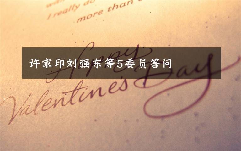 许家印刘强东等5委员答问