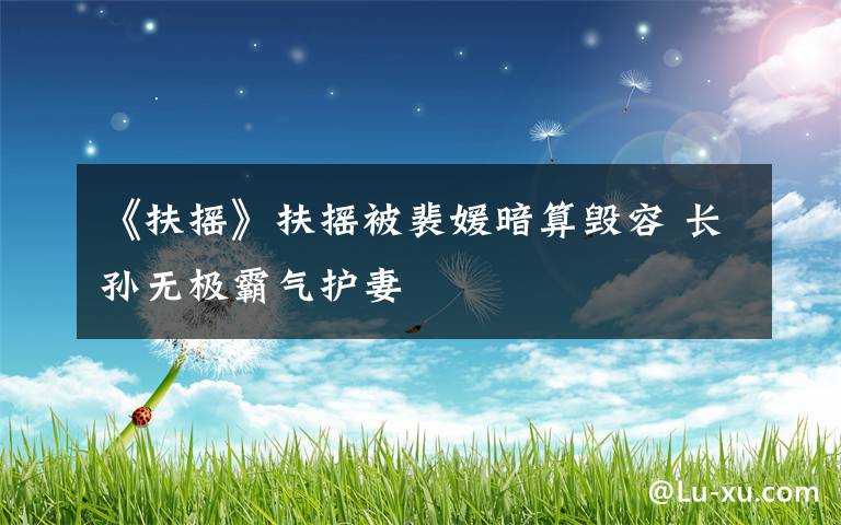 《扶摇》扶摇被裴媛暗算毁容 长孙无极霸气护妻