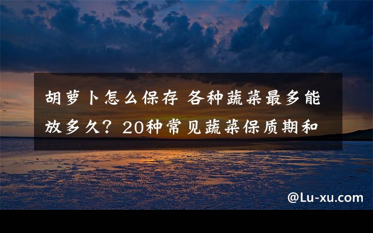 胡萝卜怎么保存 各种蔬菜最多能放多久?20种常见蔬菜保质期和方法都在这