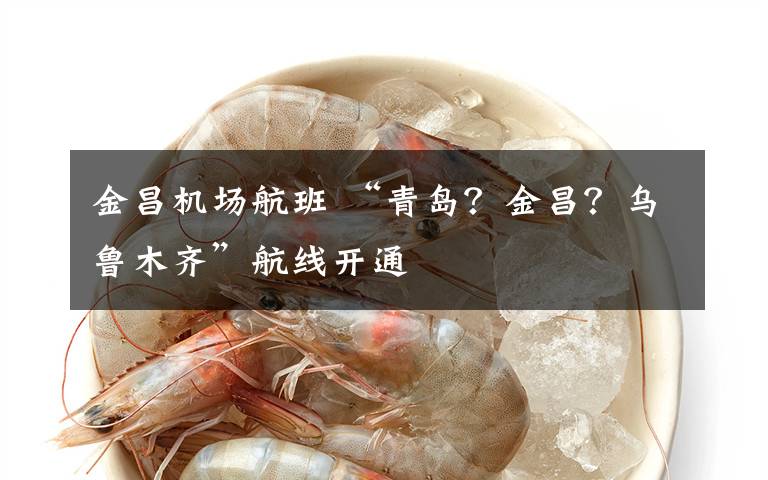 金昌机场航班 “青岛?金昌?乌鲁木齐”航线开通