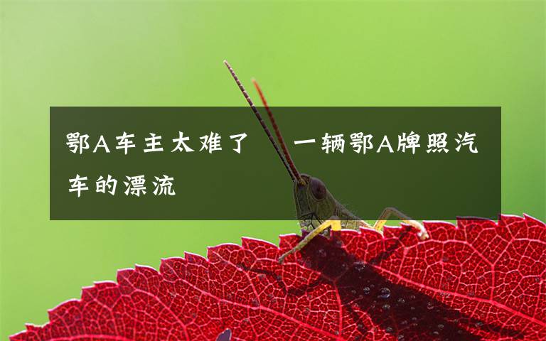 鄂A车主太难了  一辆鄂A牌照汽车的漂流