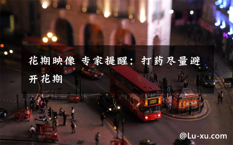 花期映像 专家提醒:打药尽量避开花期