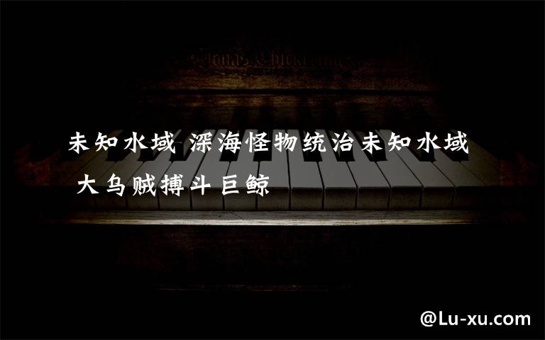 未知水域 深海怪物统治未知水域 大乌贼搏斗巨鲸