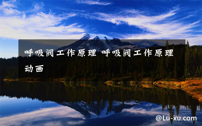 呼吸阀工作原理 呼吸阀工作原理动画