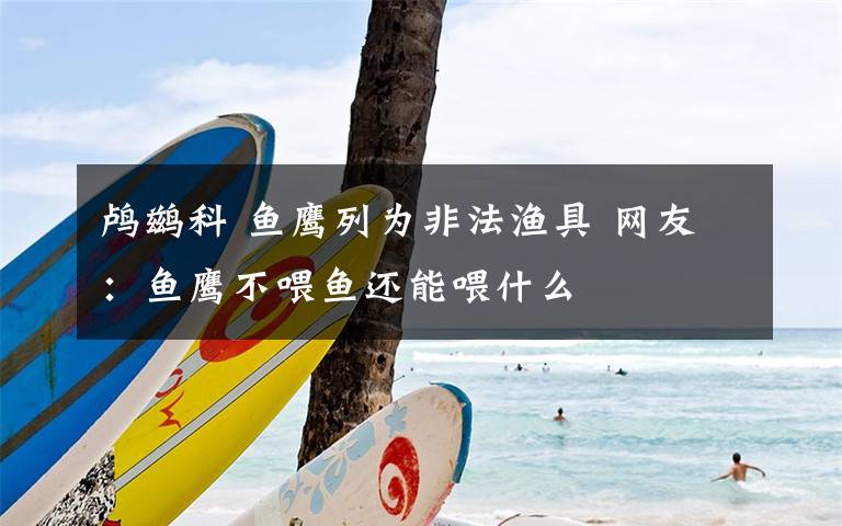 鸬鹚科 鱼鹰列为非法渔具 网友:鱼鹰不喂鱼还能喂什么