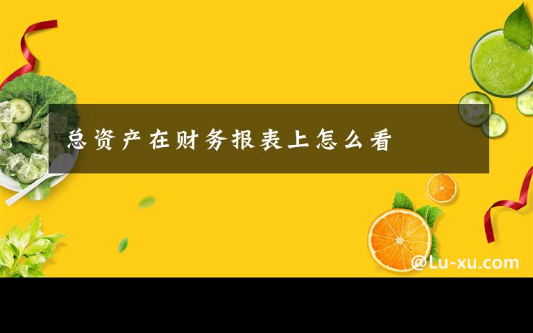 总资产在财务报表上怎么看