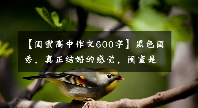 【闺蜜高中作文600字】黑色闺秀,真正结婚的感觉,闺蜜是越来越远的存在