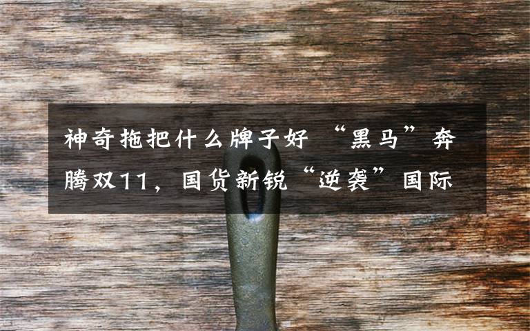 神奇拖把什么牌子好 “黑马”奔腾双11,国货新锐“逆袭”国际大牌