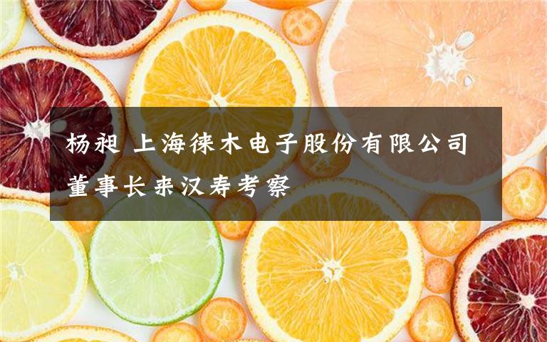 杨昶 上海徕木电子股份有限公司董事长来汉寿考察