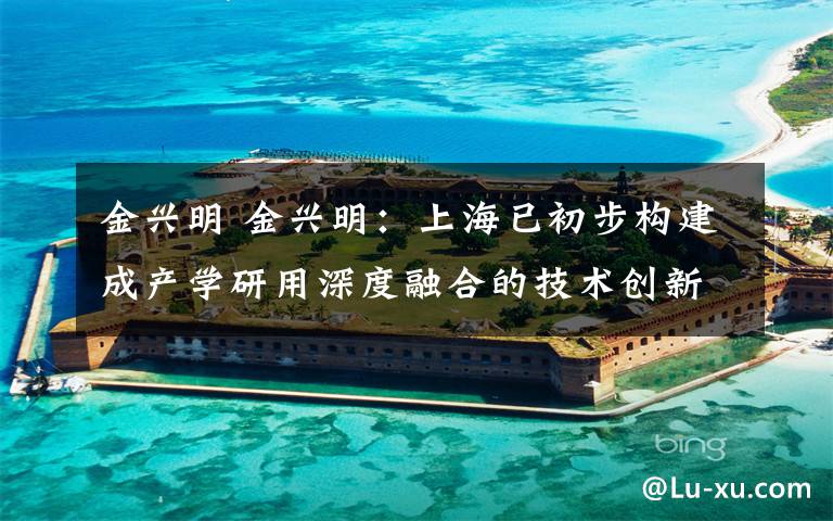 金兴明 金兴明:上海已初步构建成产学研用深度融合的技术创新体系