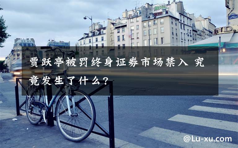 贾跃亭被罚终身证券市场禁入 究竟发生了什么?