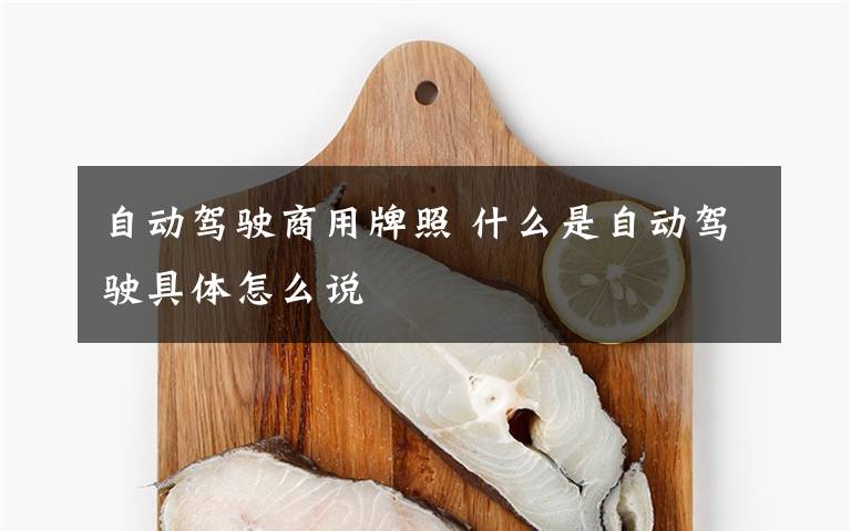 自动驾驶商用牌照 什么是自动驾驶具体怎么说