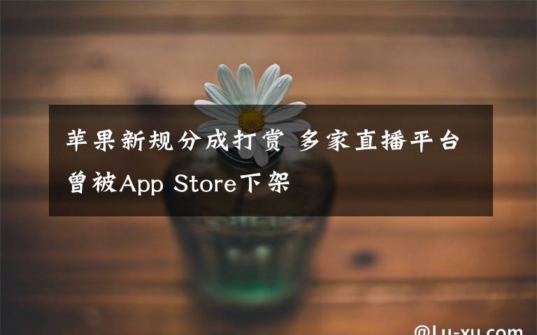 苹果新规分成打赏 多家直播平台曾被App Store下架