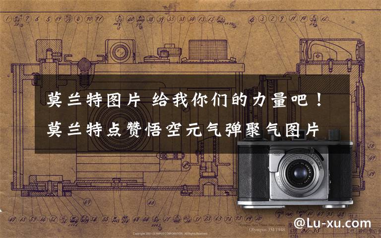 莫兰特图片 给我你们的力量吧!莫兰特点赞悟空元气弹聚气图片