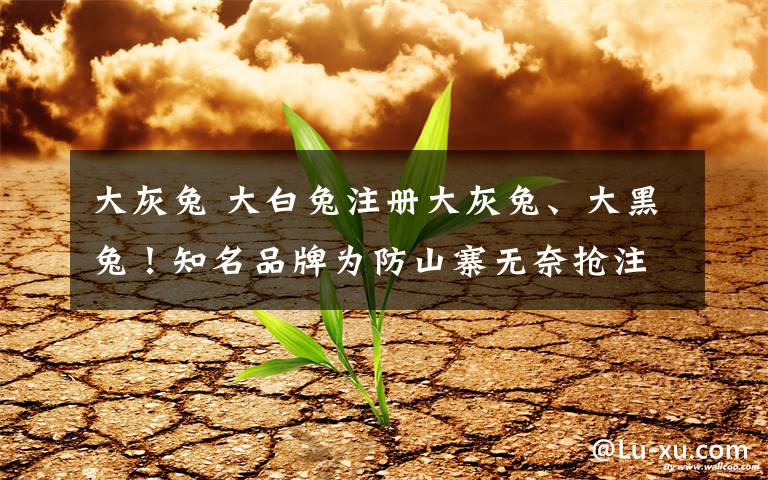 大灰兔 大白兔注册大灰兔、大黑兔!知名品牌为防山寨无奈抢注山寨号